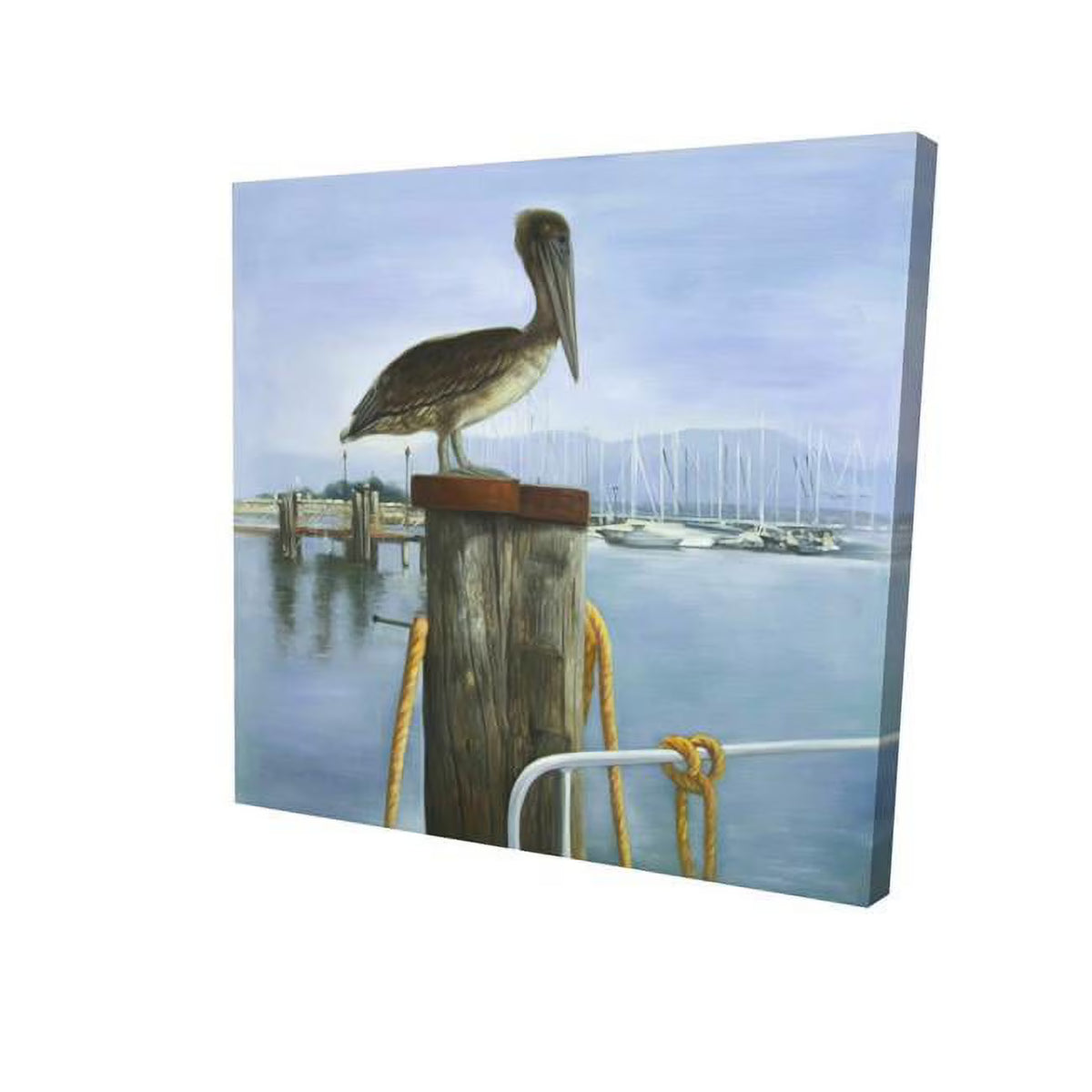 16 x 16 in. Pelican-Print on Canvas I823