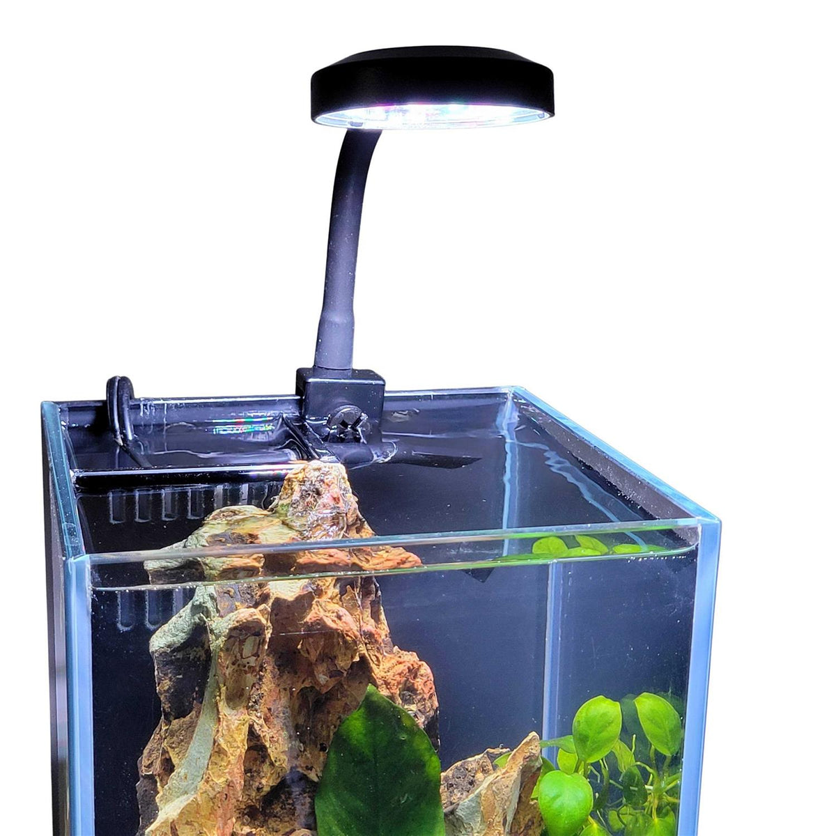 2.5 Clip-on USB LED Light Y172327
