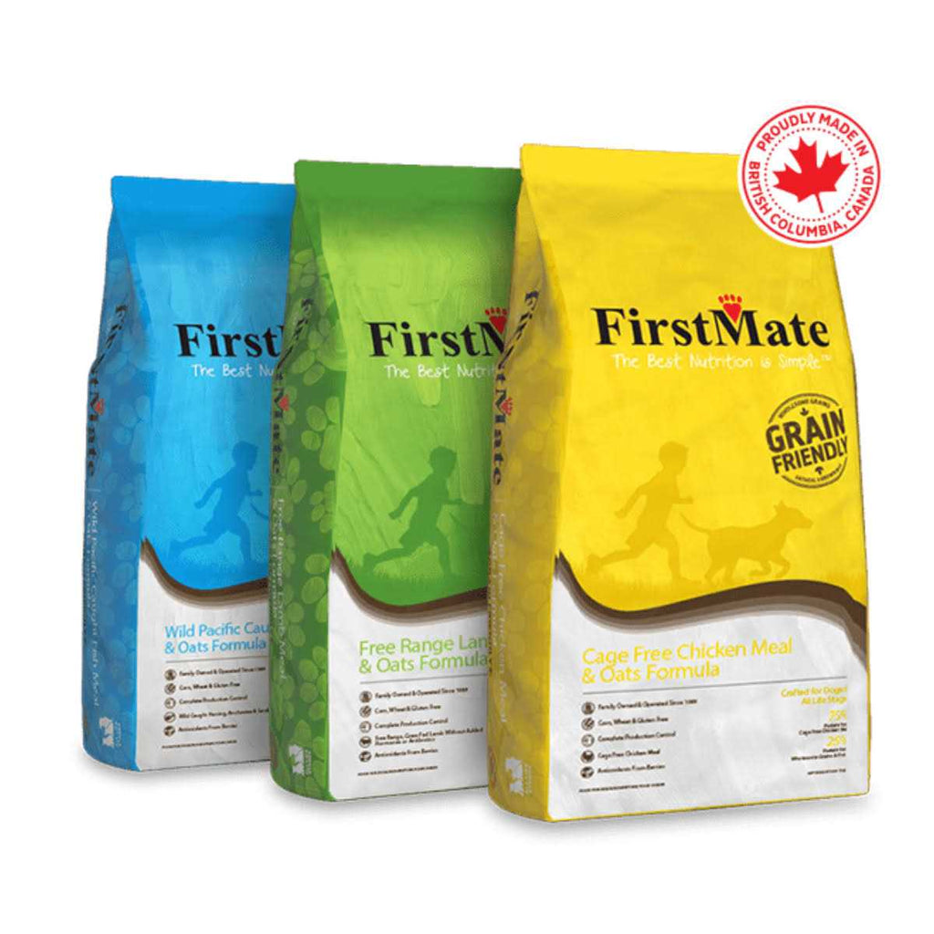 Grain Friendly Cage Free Duck & Oats Dry Dog Food X2074