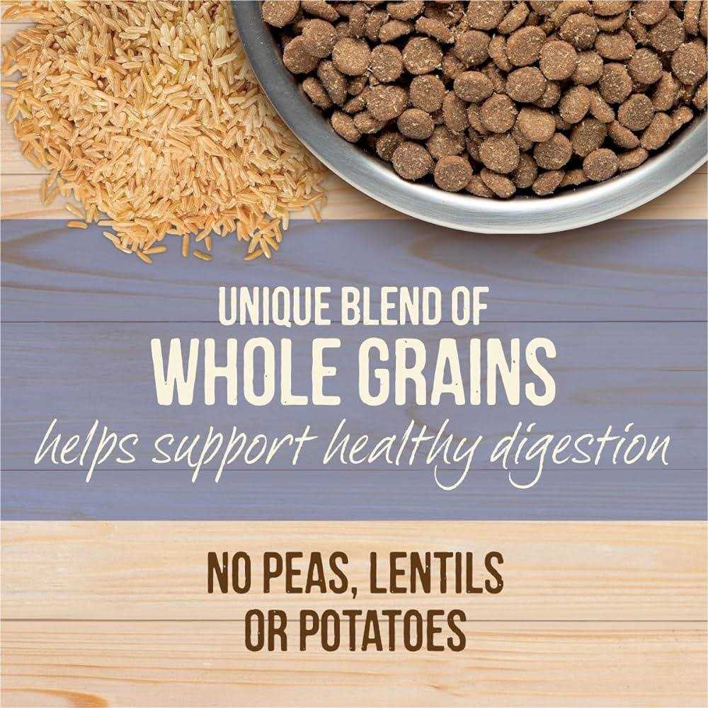 Healthy Grains Freeze Dried Raw Coated Dry Dog Food S5682