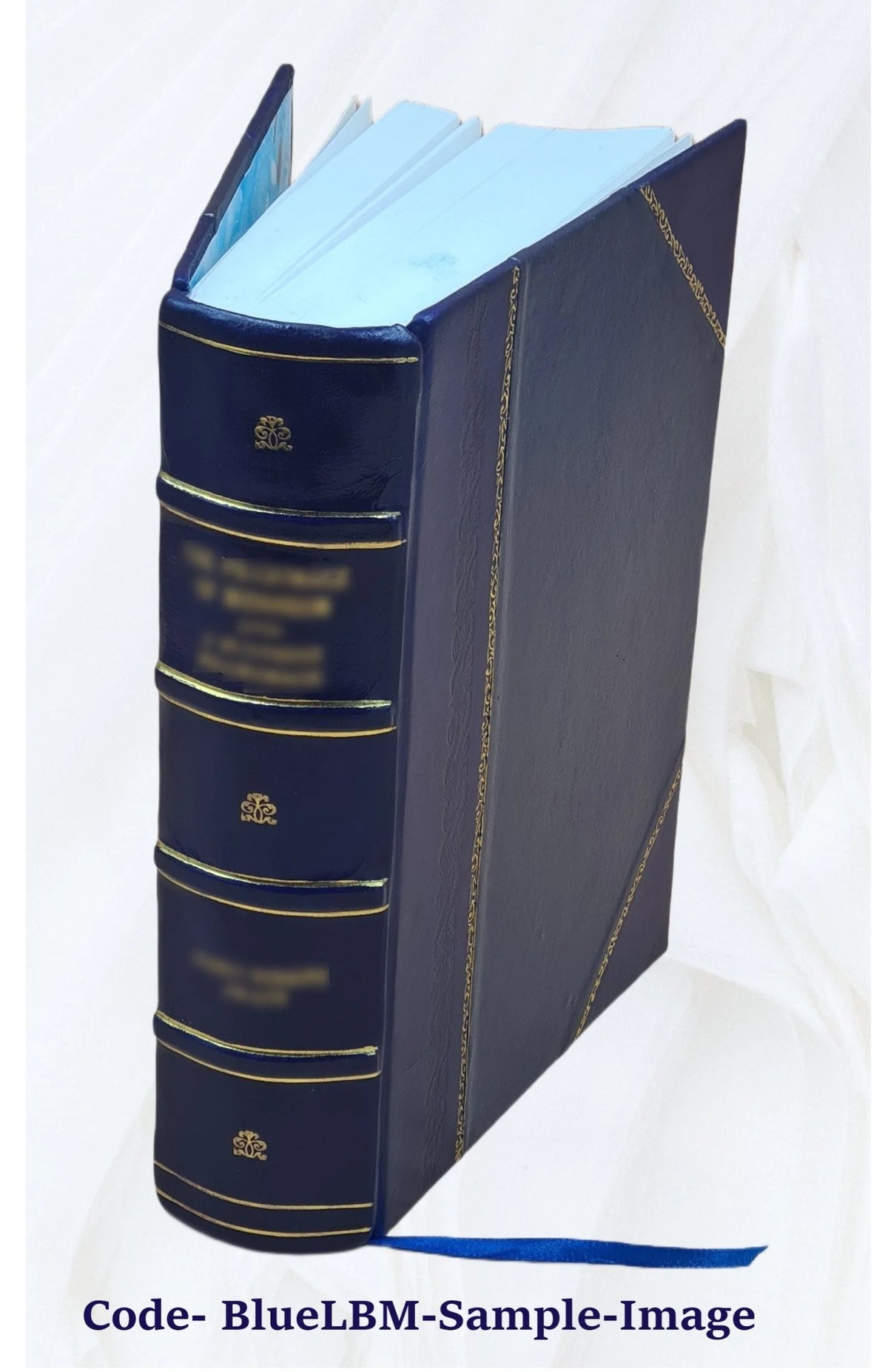 Leather Bound Book Y941