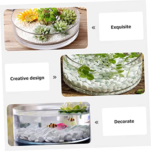 Round Glass Hydroponic Vase Terrarium Planter N618
