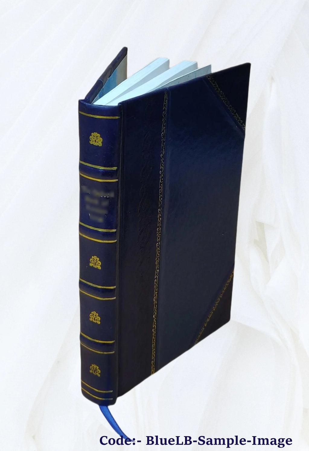 Leather Bound Book B839