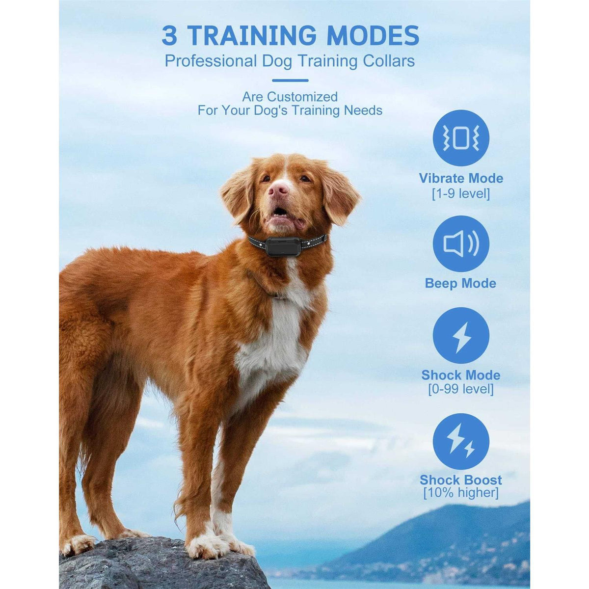 Dog Training Collar with Remote D4392