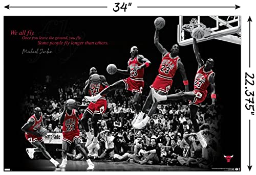 Michael Jordan Fly Wall Poster 22.375" x 34" Unframed D958