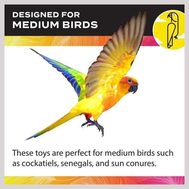 Cockatiel Ladder D222