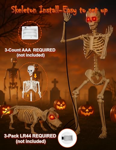 Life Size Skeleton with Glowing Eyes Movable Joints U3528