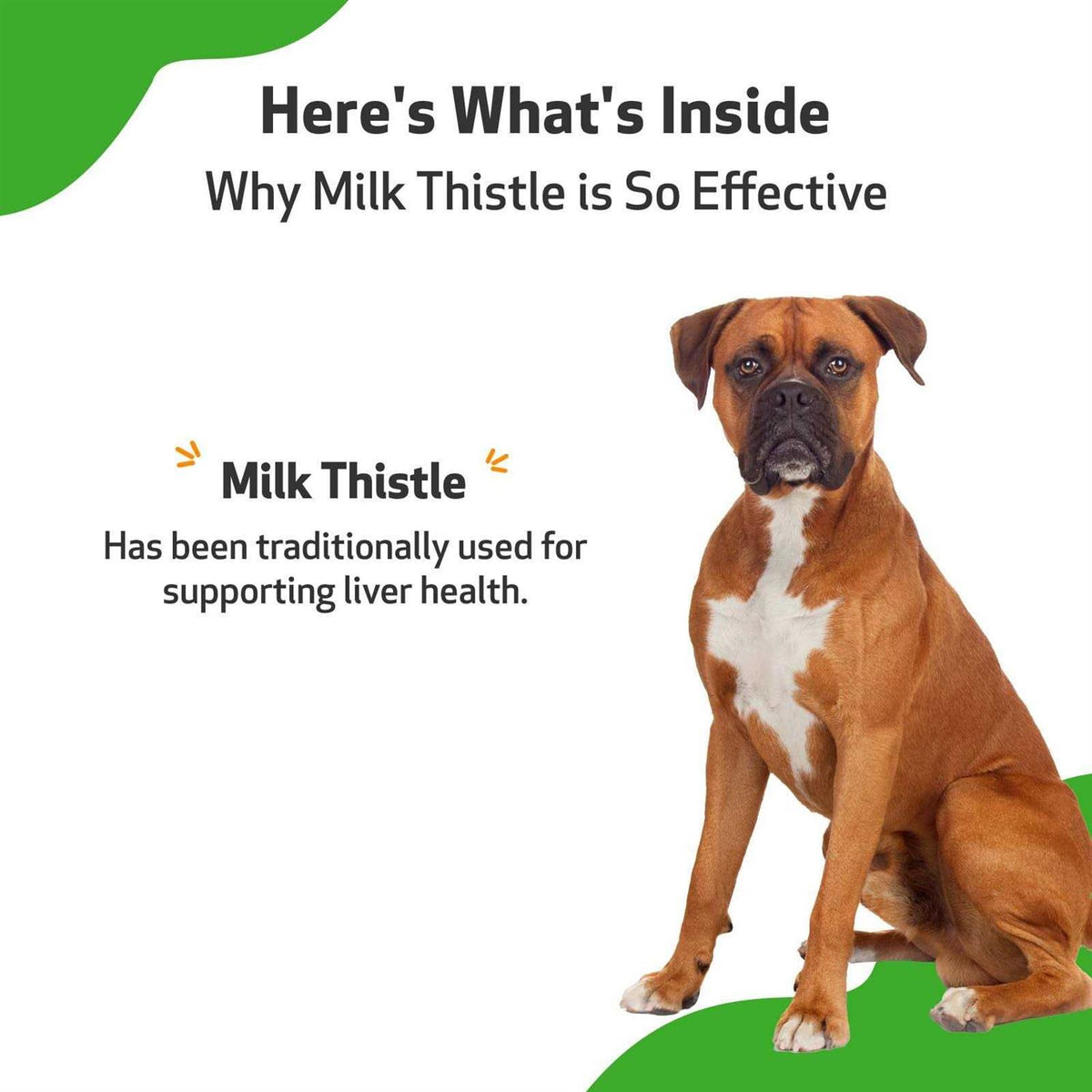 Milk Thistle for Dogs U842