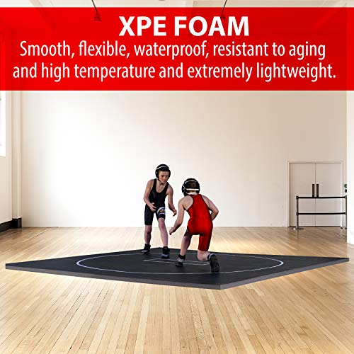 10' x 10' Wrestling Mat Q516139