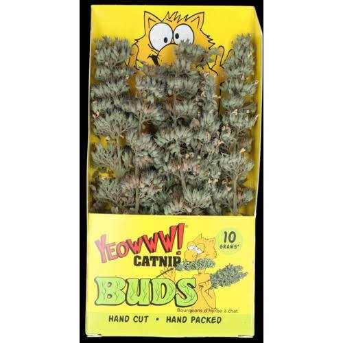 Catnip Buds G867792