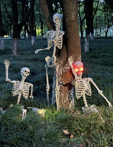 Life Size Skeleton with Glowing Eyes Movable Joints U3528