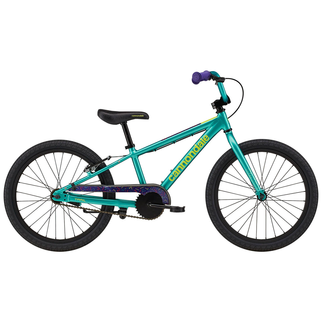 20 inch Turquoise Kids Bike J505