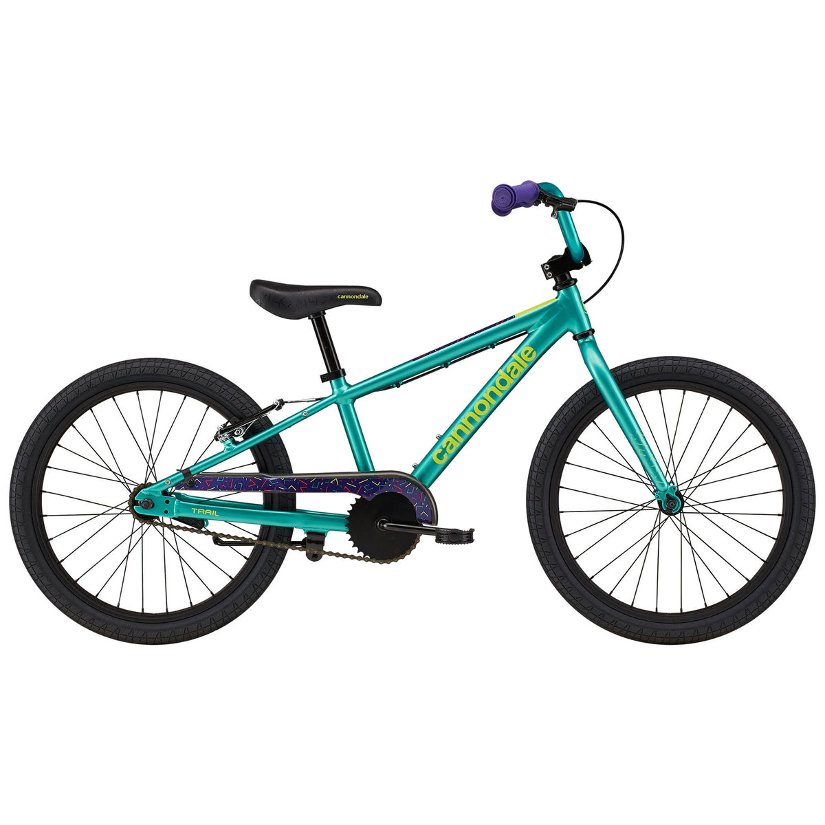 20 inch Turquoise Kids Bike J505