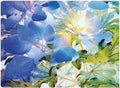 Canvas Art 32x24 F542