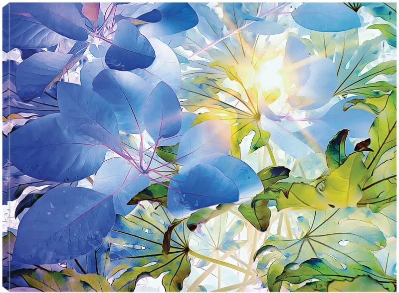 Canvas Art 32x24 F542