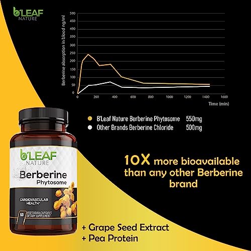 Berberine Phytosome Vegetarian Capsules - 120 Capsules, 1100mg per Serving Q171107