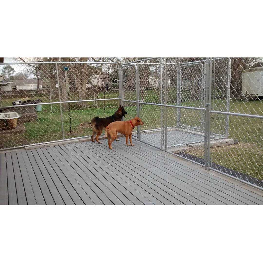 Set of 3 Pet Supplies D410885