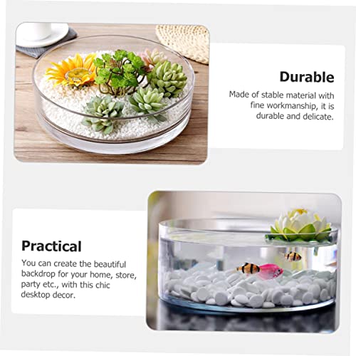 Round Glass Hydroponic Vase Terrarium Planter N618