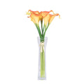 Orange Calla Lily D978