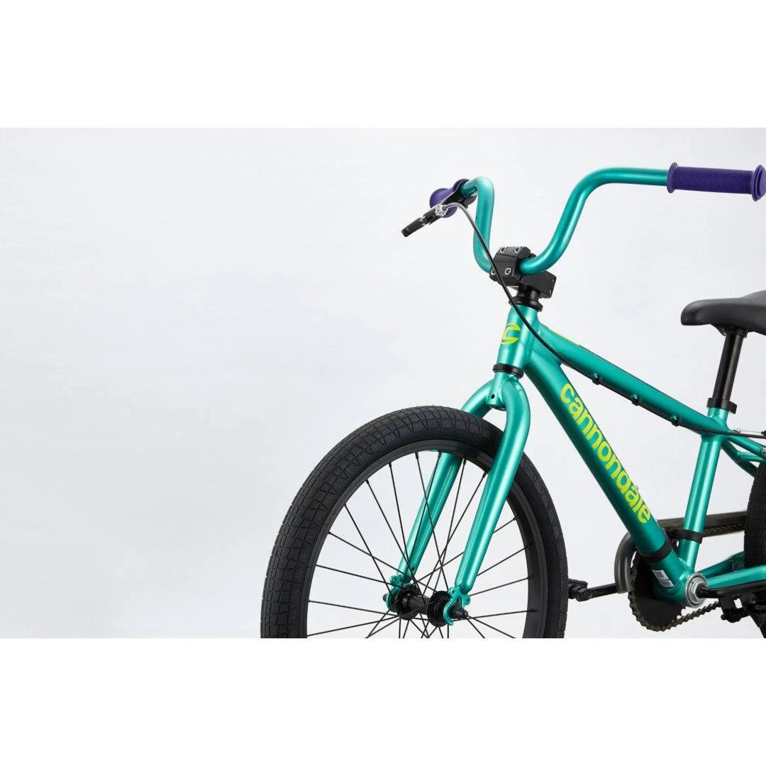 20 inch Turquoise Kids Bike J505