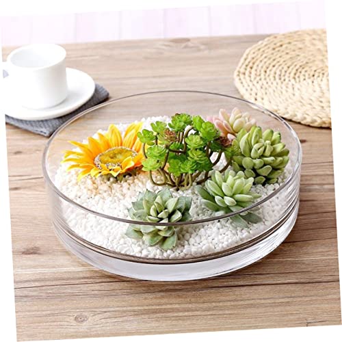 Round Glass Hydroponic Vase Terrarium Planter N618