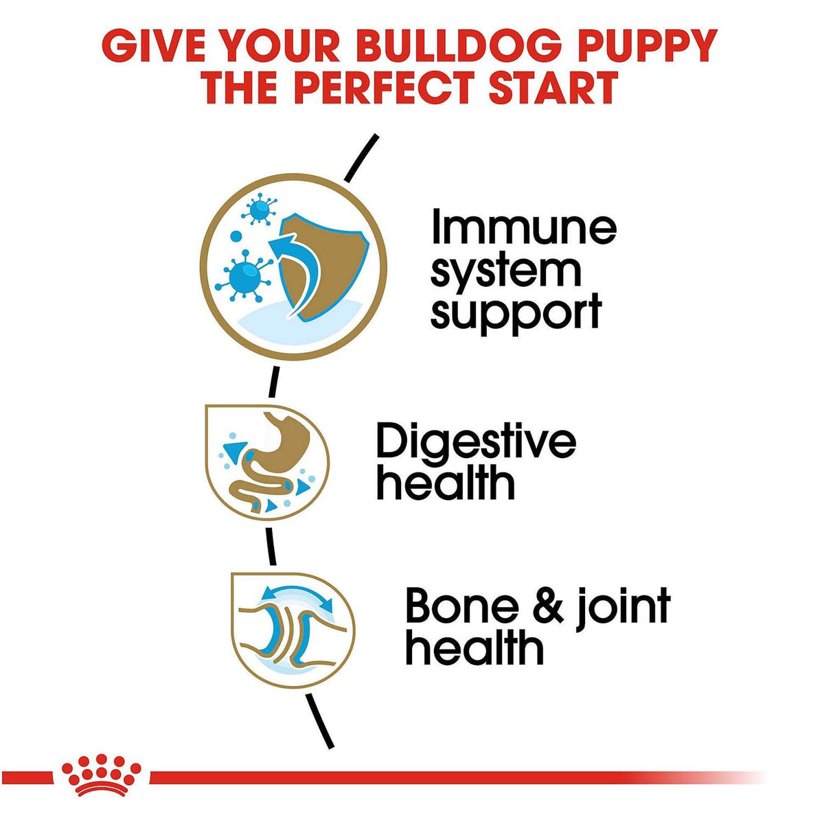 Bulldog Puppy Dry Dog Food G59650