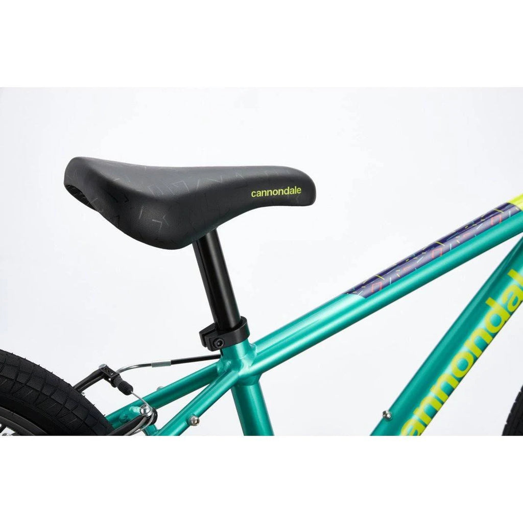 20 inch Turquoise Kids Bike J505
