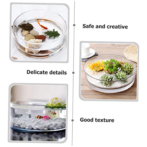 Round Glass Hydroponic Vase Terrarium Planter N618