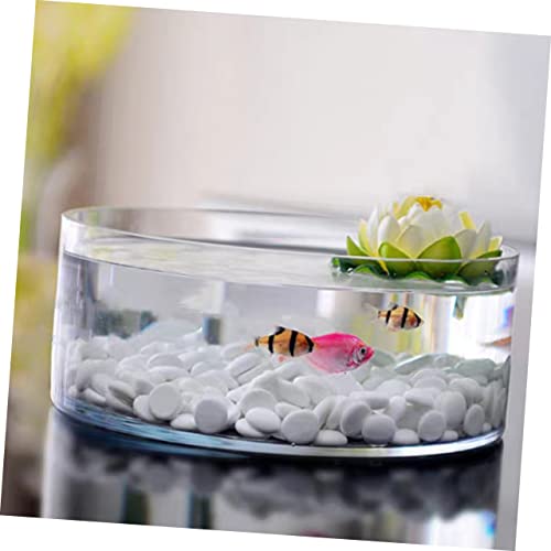 Round Glass Hydroponic Vase Terrarium Planter N618