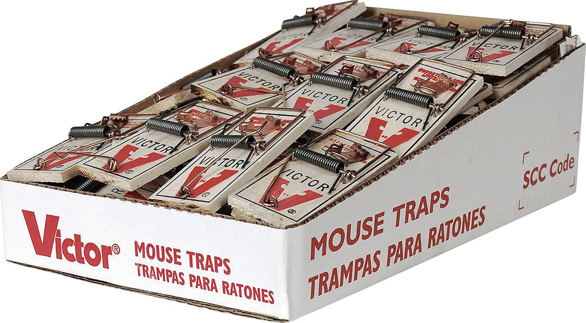72 Count Metal Mouse Trap Y533732