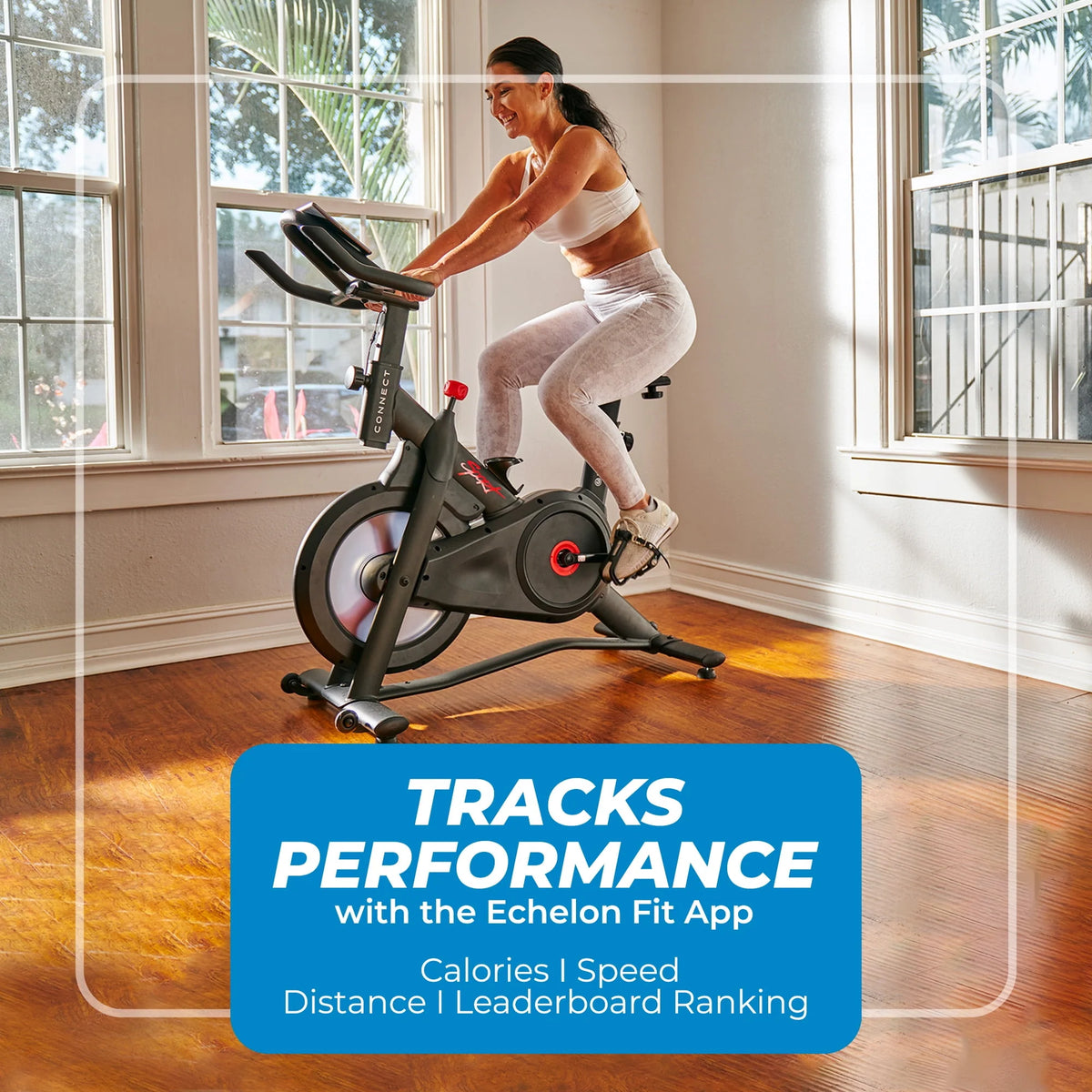 Indoor Cycling Exercise Bike W667283