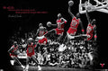 Michael Jordan Fly Wall Poster 22.375" x 34" Unframed D958
