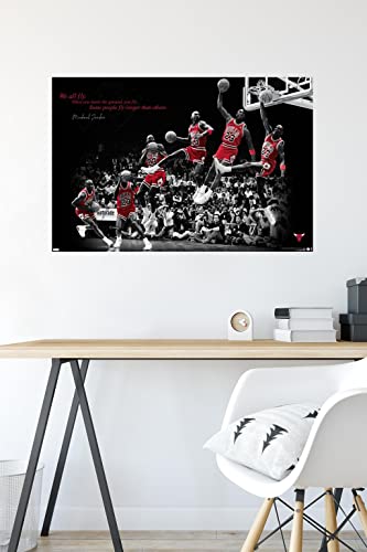 Michael Jordan Fly Wall Poster 22.375" x 34" Unframed D958