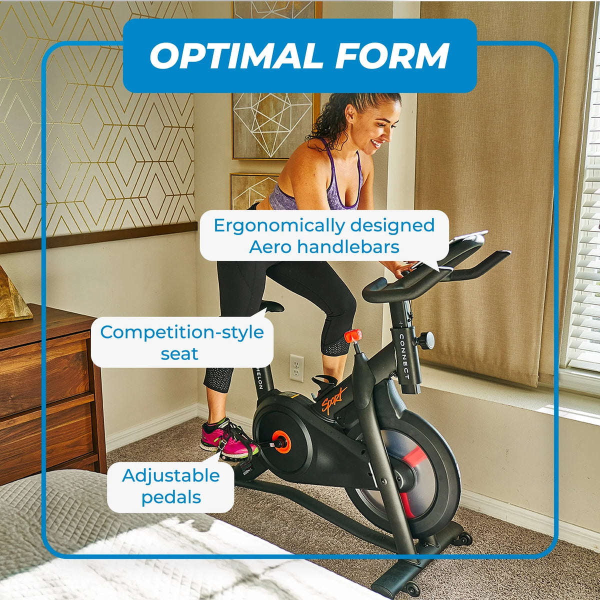 Indoor Cycling Exercise Bike W667283