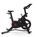 Indoor Cycling Exercise Bike W667283