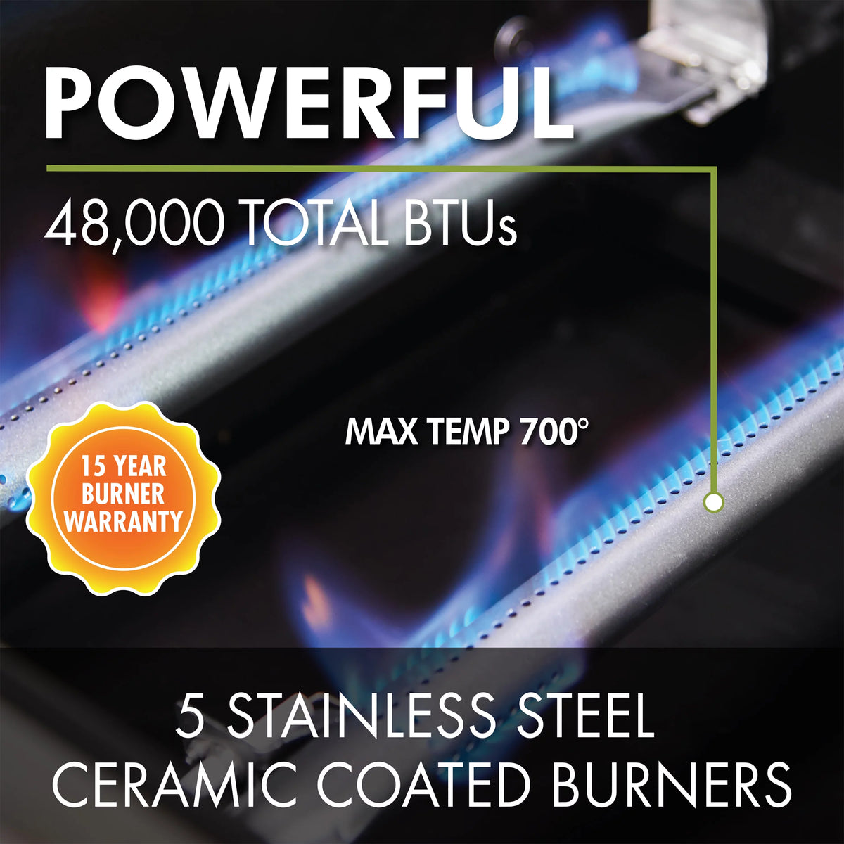 5-Burner Dual Fuel Gas Grill W6854