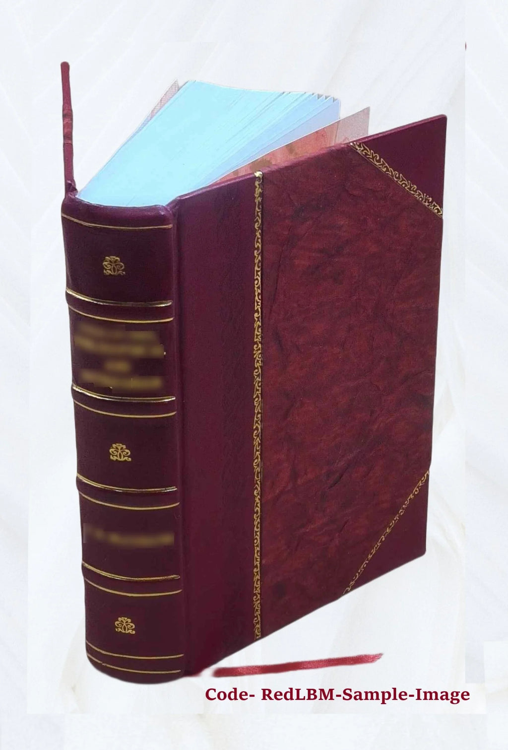 Leather Bound Book Y941