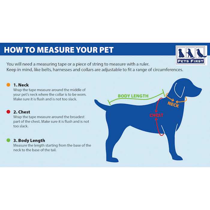 Dog Collar G131