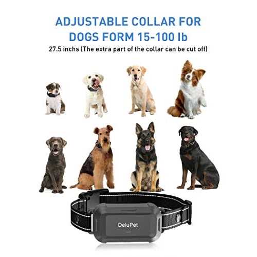 Dog Training Collar with Remote D4392