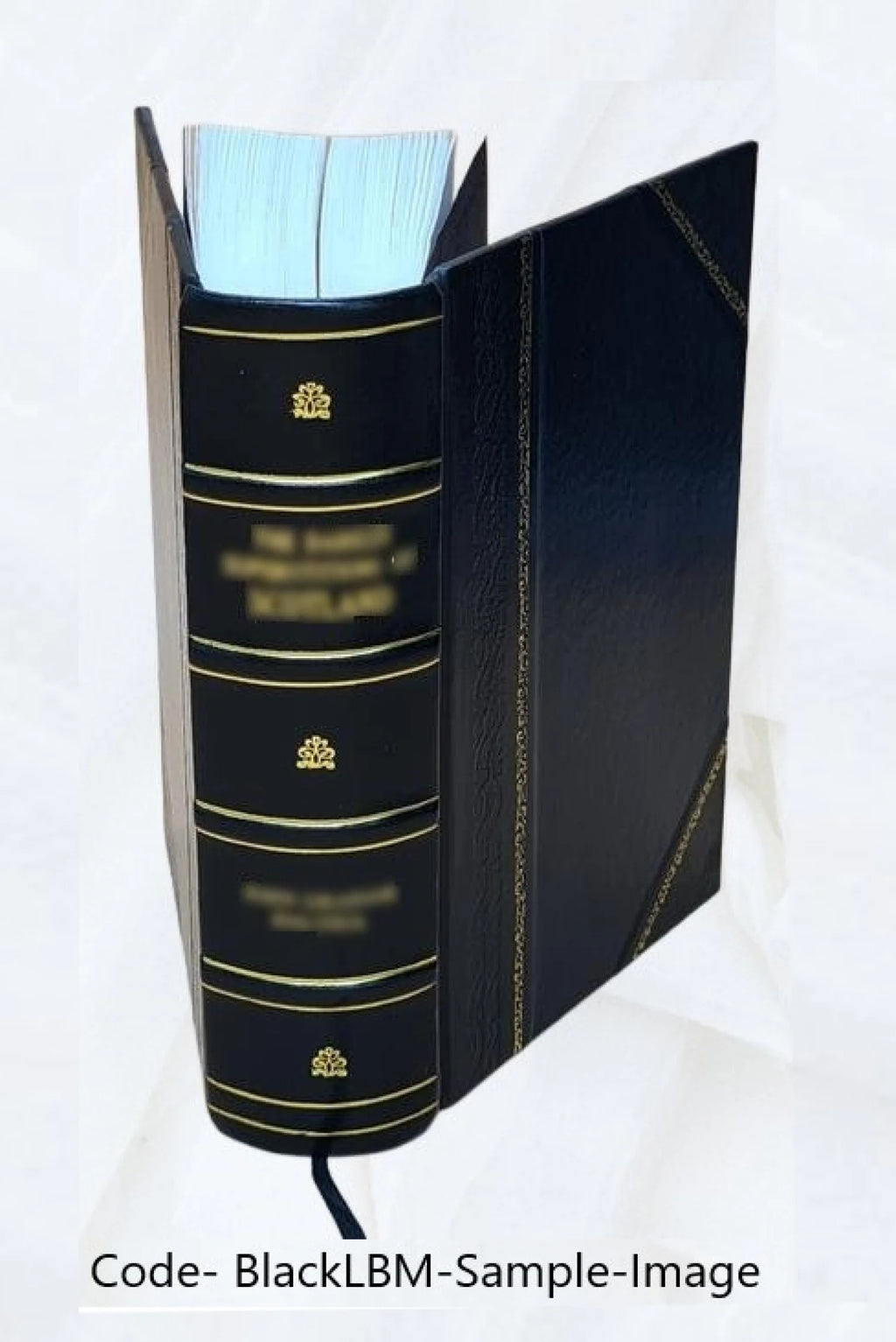 Leather Bound Book Y941