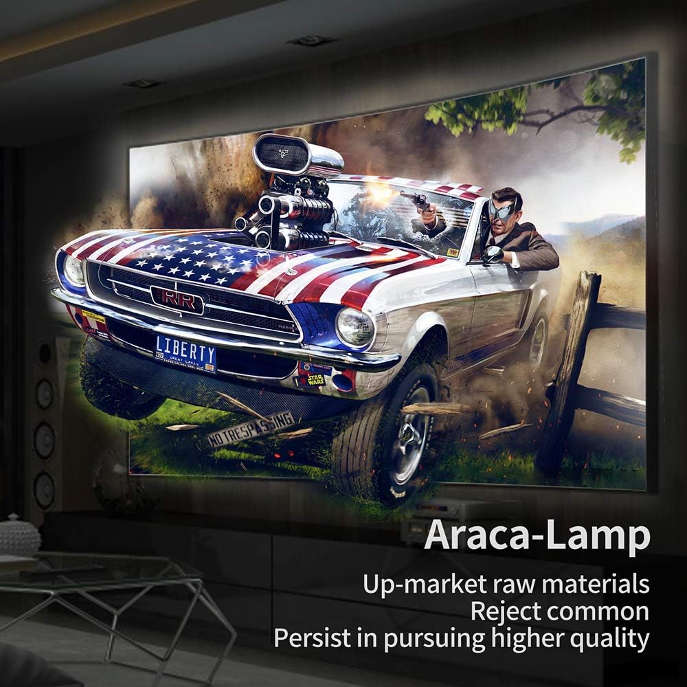 Projector Lamp with Housing K1067