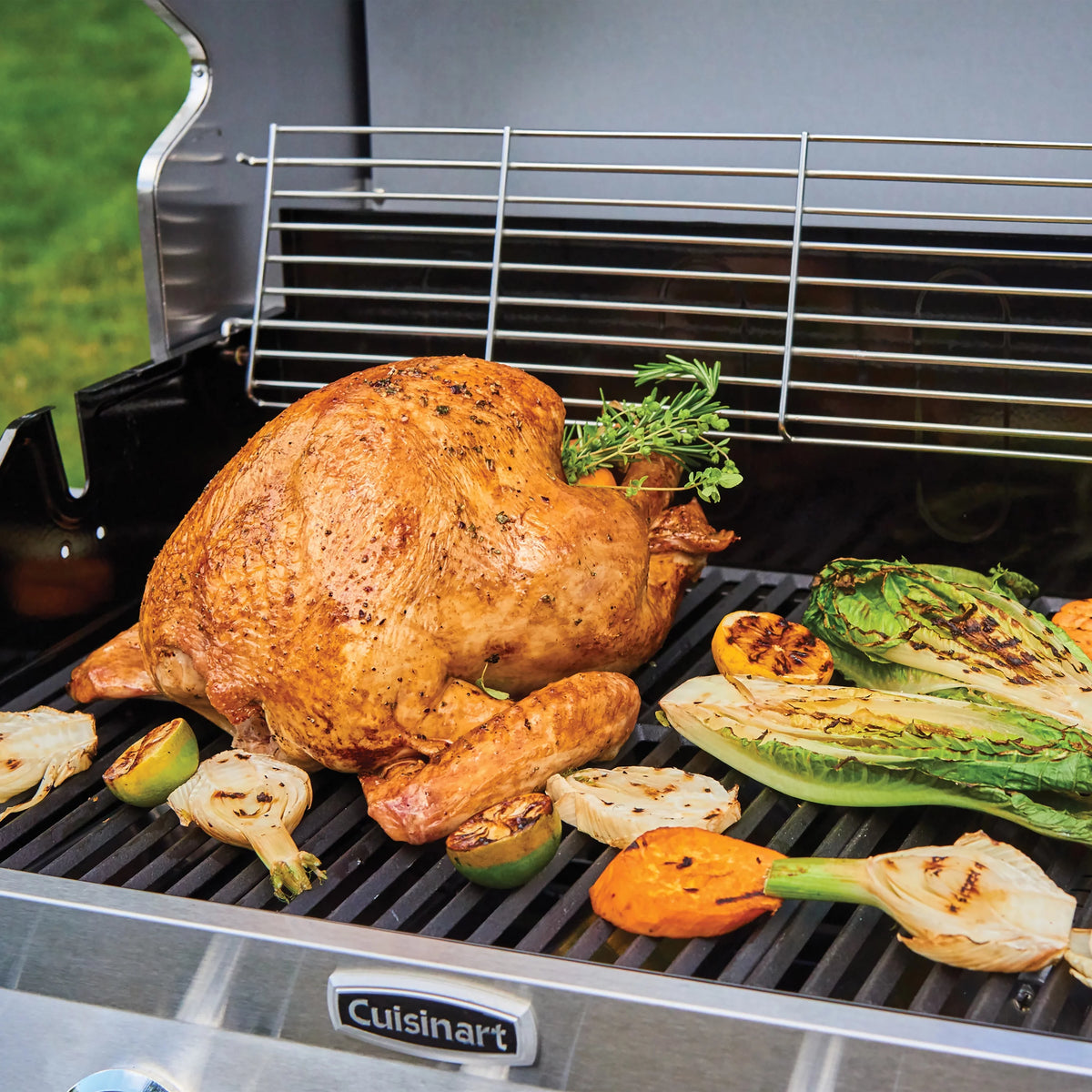5-Burner Dual Fuel Gas Grill W6854