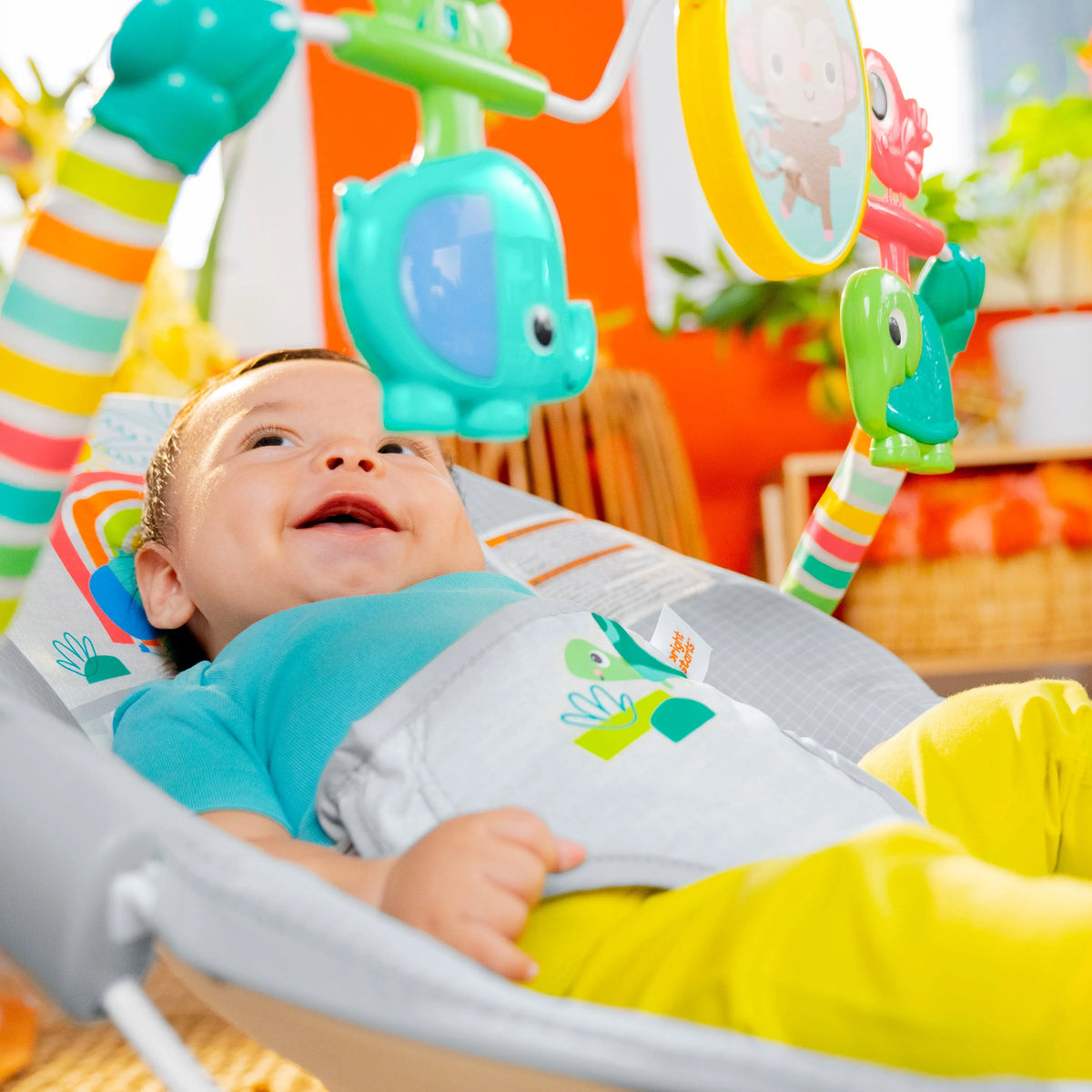 Vibrating Baby Bouncer F846791