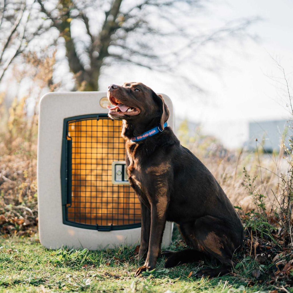 Framed Door Kennel Q7417
