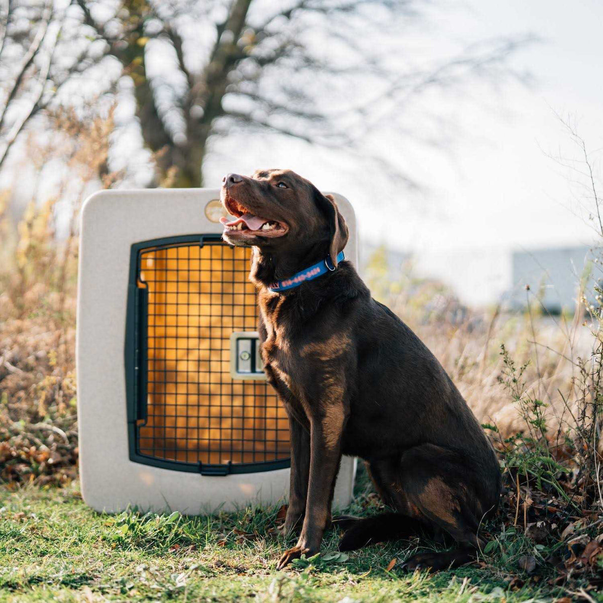 Framed Door Kennel Q7417