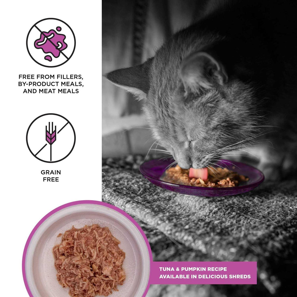 Tuna Recipe Cat Food Q894