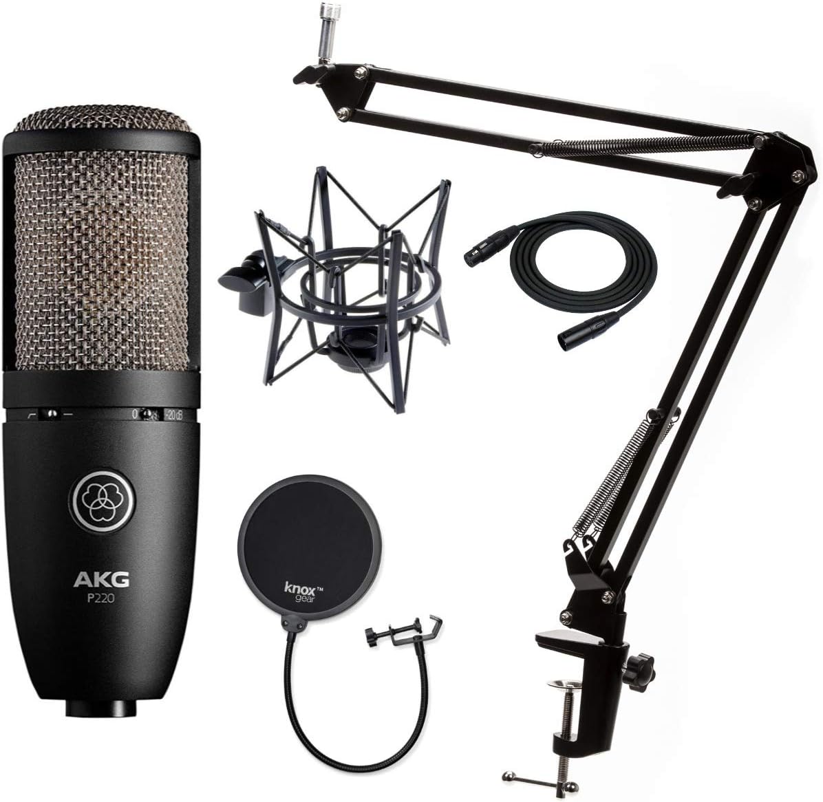 Condenser Microphone with Studio Stand, Pop Filter and XLR Cable M5689