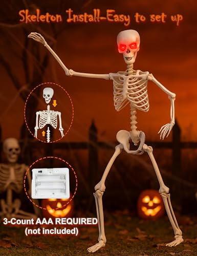 Life Size Skeleton with Glowing Eyes Movable Joints U3528