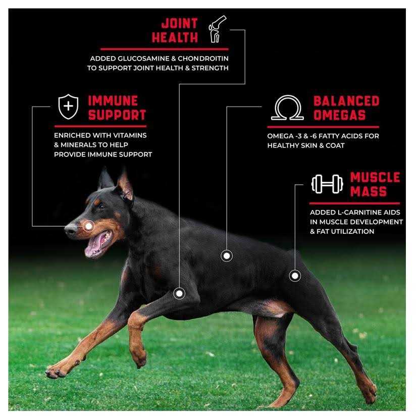 Grain-Free Beef Dry Dog Food V55709