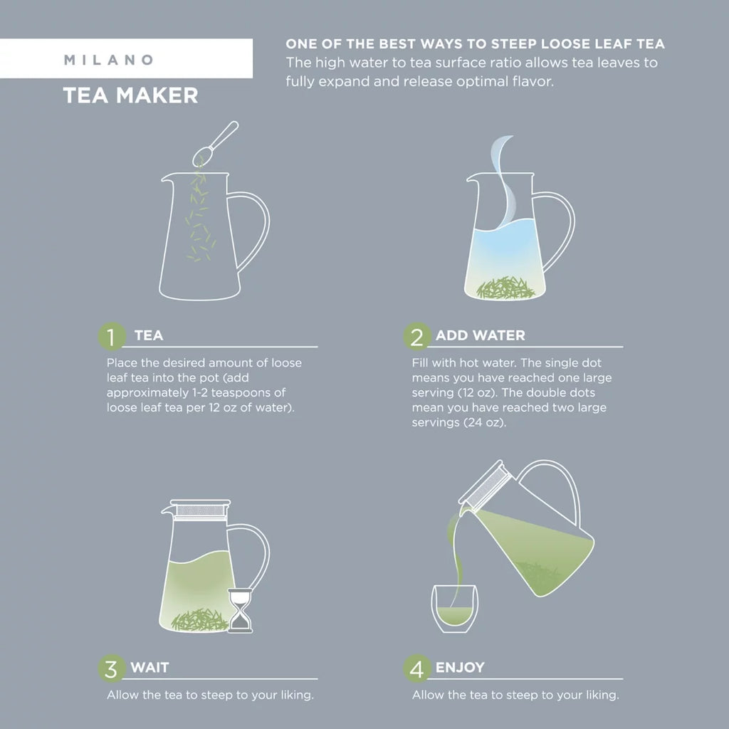 Insulated Glass Tea Steeper N5906